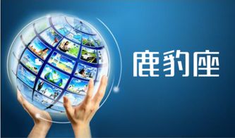 網(wǎng)絡營銷策劃 信息網(wǎng)絡經(jīng)營游戲產(chǎn)品的多元化方法與實戰(zhàn)策略