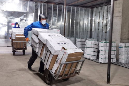 守護“舌尖上的安全” 遼源龍山區設立冷鏈食品監管倉，嚴控日用品銷售安全