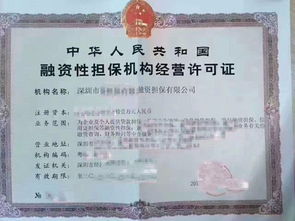 專業(yè)公司注冊(cè)代理與融資租賃、商業(yè)保理服務(wù)的核心價(jià)值